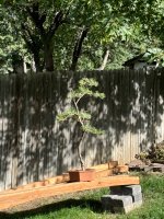 IMG_3925.jpeg IMG_3925.jpeg