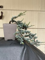 IMG_8448.jpeg