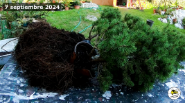 vlcsnap-2024-09-28-00h38m39s383 - copia (2).png vlcsnap-2024-09-28-00h38m39s383 - copia (2).png