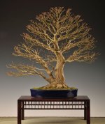 177_Titelbaum_04(1).jpg