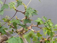 IMG_1347.jpeg
