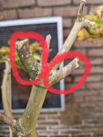 IMG_1365.jpeg