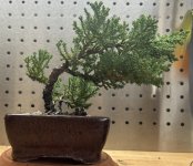 IMG_0069.jpeg