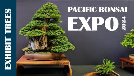 PACIFIC BONSAI EXPO 2024 - TH.jpg PACIFIC BONSAI EXPO 2024 - TH.jpg