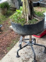 IMG_5225.jpeg