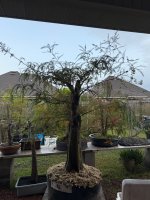 IMG_5226.jpeg