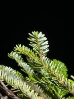 IMG_3922.jpeg