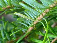 IMG_0308.jpeg