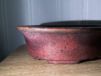 IMG_9664.jpeg