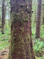 IMG_6523.jpeg