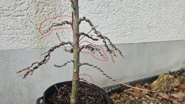 20241218_094007.jpg
