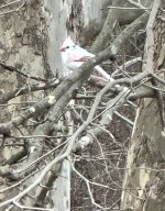 IMG_4814.jpeg