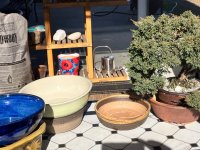 IMG_8387.jpeg