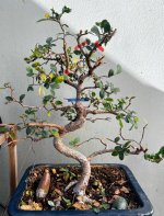 IMG_8997.jpeg