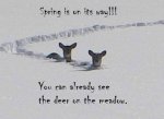 image034.jpg