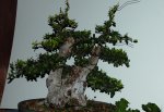 DSC_00120001.JPG