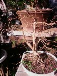 IMG_20150301_150854.jpg