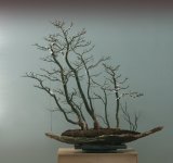 IMG_7336 copy 2.jpg
