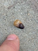 IMG_0696.jpeg