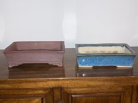 IMG_3737.JPG