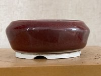 IMG_6106.jpeg
