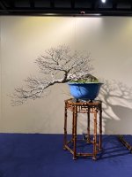 IMG_5413.jpeg