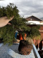 IMG_6092.jpeg