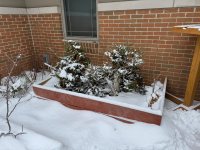 IMG_1288.jpeg