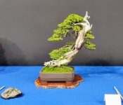 IMG_20250223_164741.jpg