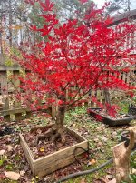 IMG_5134.jpeg