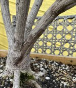 IMG_2808.jpeg IMG_2808.jpeg