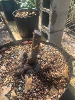 IMG_1480.jpeg