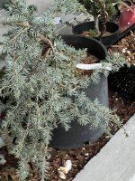 IMG_7044.jpeg IMG_7044.jpeg