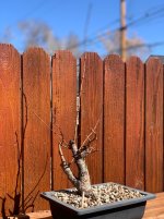 IMG_6878.jpeg