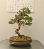 IMG_0699.jpeg