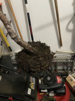 IMG_7653.jpeg