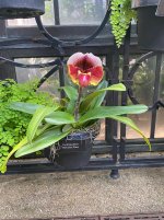 IMG_3597.jpeg