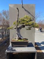 IMG_3569.jpeg