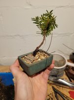 20250313_210509.jpg