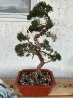 IMG_3135.jpeg