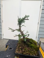 PXL_20250316_001627437.jpg