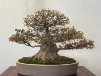 IMG_1689.jpg