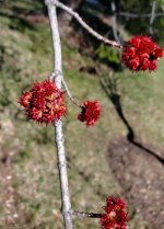 20250318_113401.jpg
