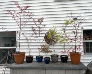IMG_4648.jpeg