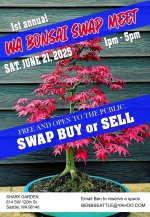bonsai swapmeet.jpg