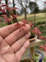 IMG_4643.jpeg