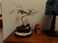 IMG_0048.jpeg