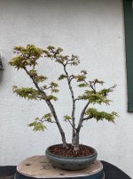 IMG_3665.jpeg