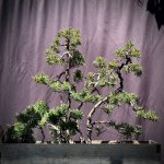 IMG_0606.jpeg