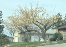 IMG_2931.JPEG